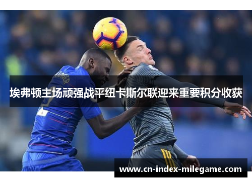 埃弗顿主场顽强战平纽卡斯尔联迎来重要积分收获