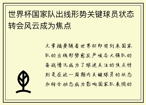 世界杯国家队出线形势关键球员状态转会风云成为焦点