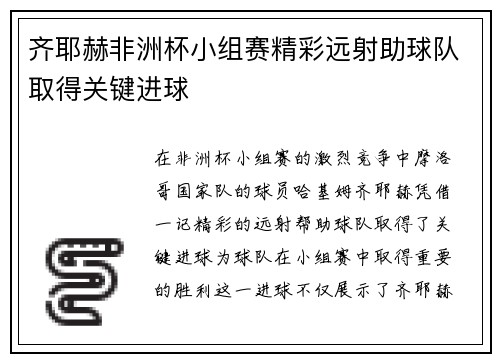 齐耶赫非洲杯小组赛精彩远射助球队取得关键进球